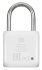 Умный замок Digma SmartLock P1 навесной разбл.отпеч.паль. 100mAh белый (SRP1)