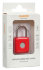 Умный замок Digma SmartLock P1 навесной разбл.отпеч.паль. 100mAh красный (SRP1)